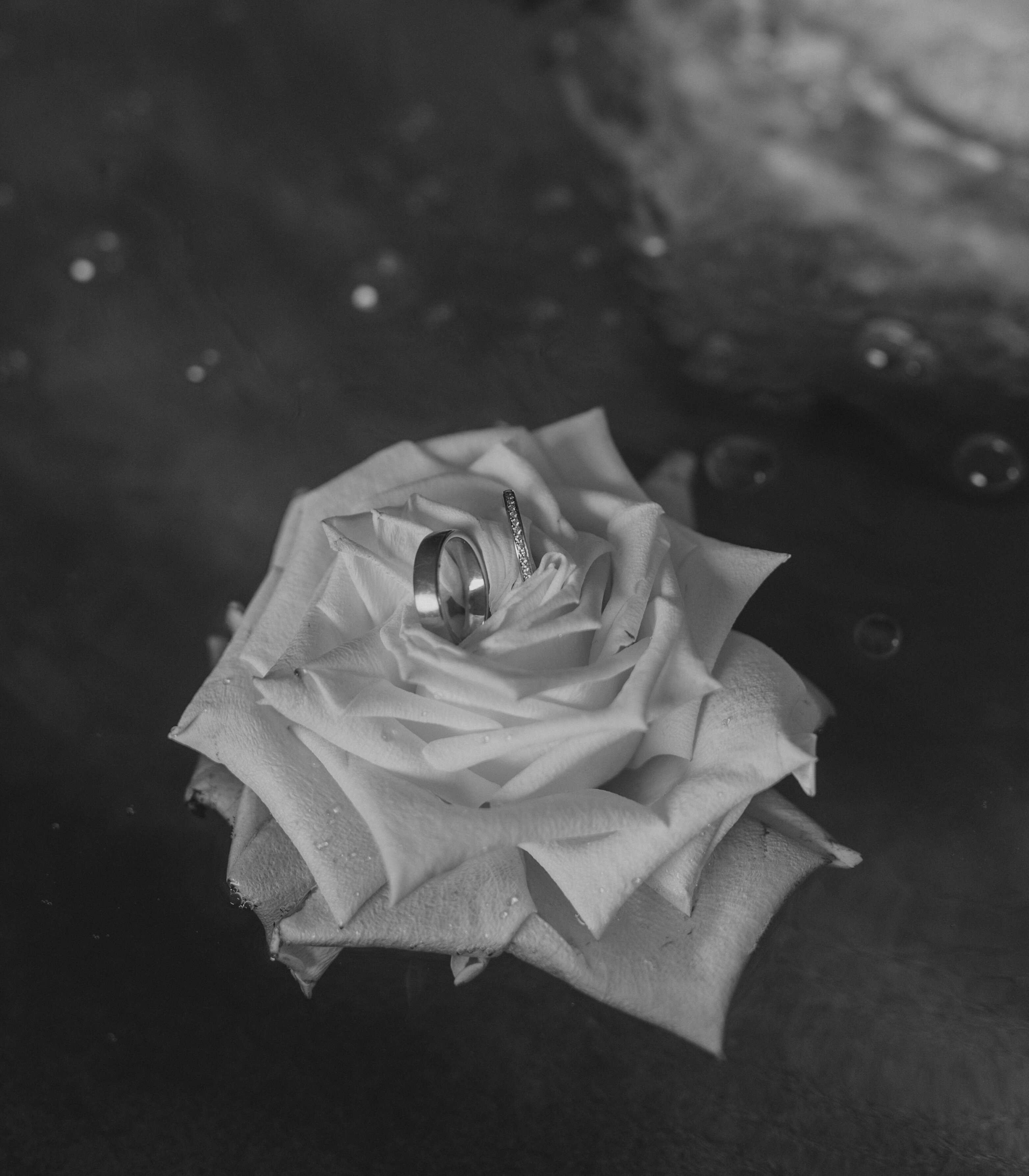20250627113205NF.jpg